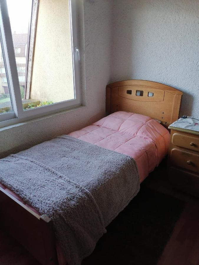 Departamento En El Centro De Pucón, Hermosa Vista Al !! Apartamento Pucón